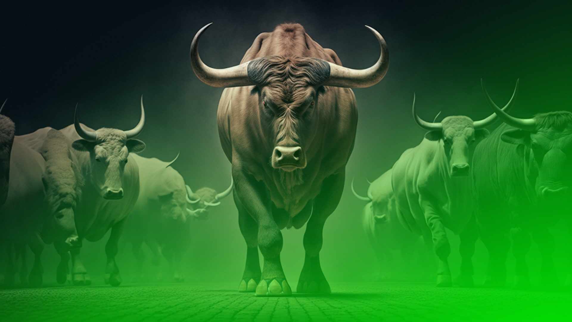 Seizing Opportunities in The Cryptocurrency Bull Market