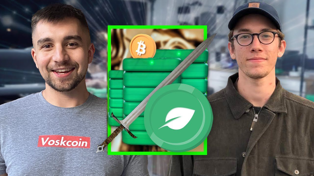 Would Bitcoin Mining be BETTER if it was Mined with Hard Drives like Chia XCH?