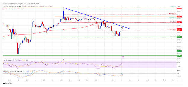 Bitcoin's Price Odyssey Continues