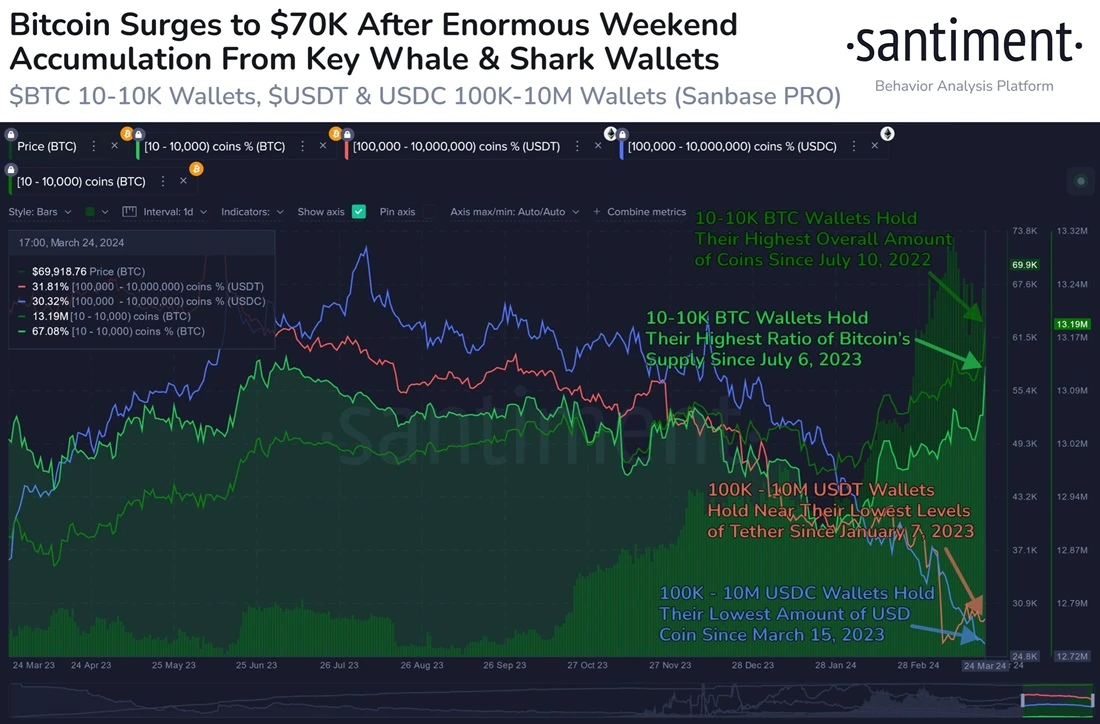 Bitcoin Key Accumulations to key whales and Shark wallets