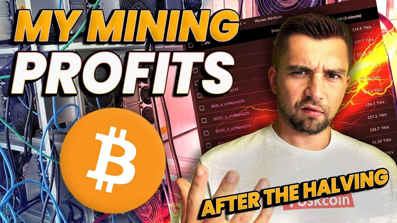 How Much Am I Earning Mining Bitcoin in 2024 – IT’S BAD