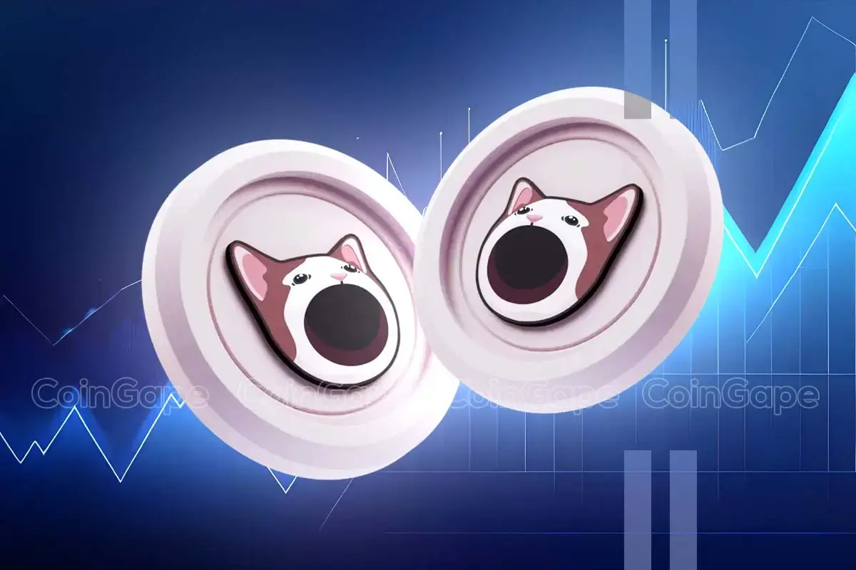 How Popcat Token Turned $0.68 into a $3.37 Million Crypto Fortune