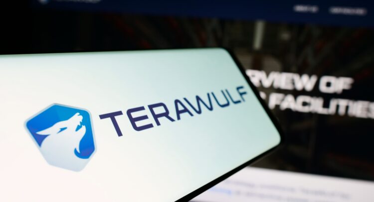 Terawulf.com Review: Everything You Need to Know